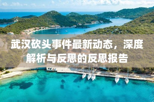 武汉砍头事件最新动态，深度解析与反思的反思报告