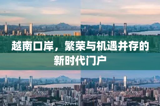 越南口岸，繁荣与机遇并存的新时代门户