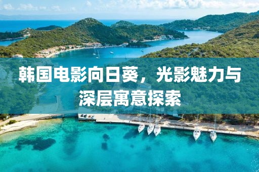 韩国电影向日葵，光影魅力与深层寓意探索