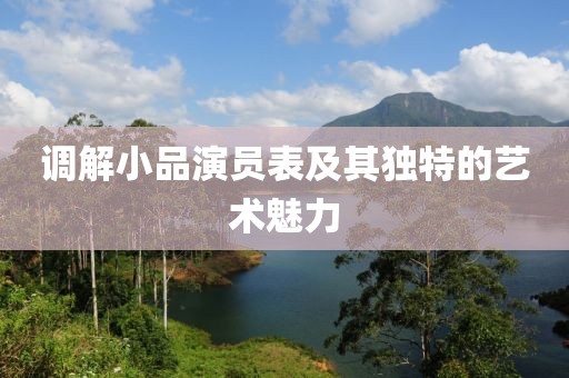 调解小品演员表及其独特的艺术魅力