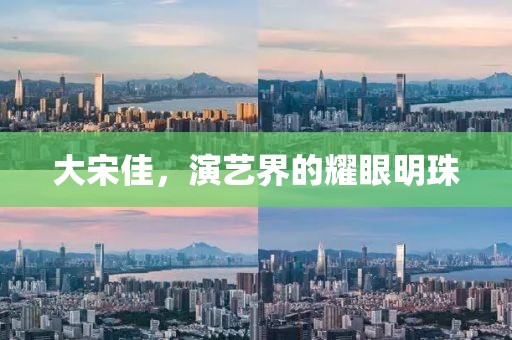 大宋佳，演艺界的耀眼明珠