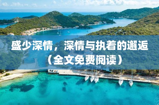 盛少深情，深情与执着的邂逅（全文免费阅读）