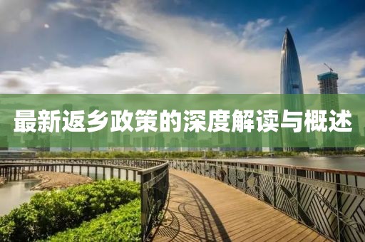 最新返乡政策的深度解读与概述