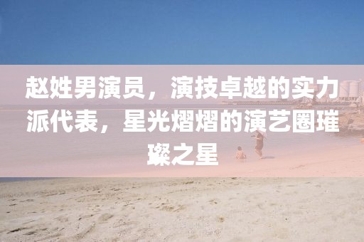 赵姓男演员，演技卓越的实力派代表，星光熠熠的演艺圈璀璨之星