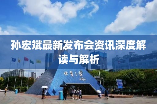 孙宏斌最新发布会资讯深度解读与解析