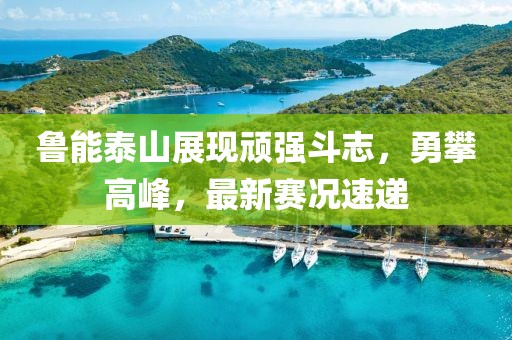 招商合作 第289页