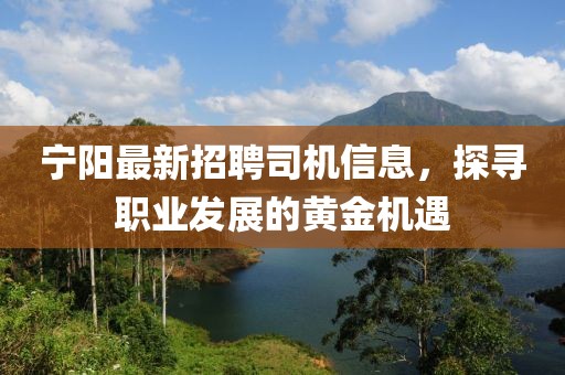 宁阳最新招聘司机信息，探寻职业发展的黄金机遇