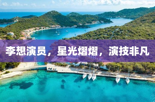 李想演员，星光熠熠，演技非凡