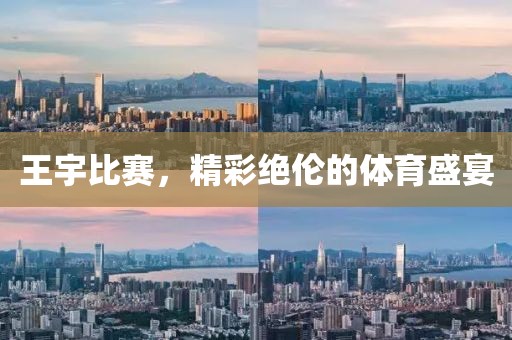王宇比赛，精彩绝伦的体育盛宴