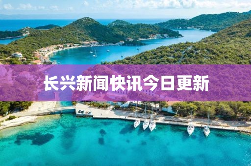2025年3月 第242页