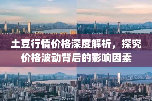 土豆行情价格深度解析，探究价格波动背后的影响因素