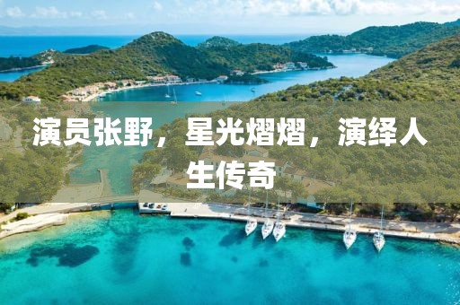演员张野，星光熠熠，演绎人生传奇