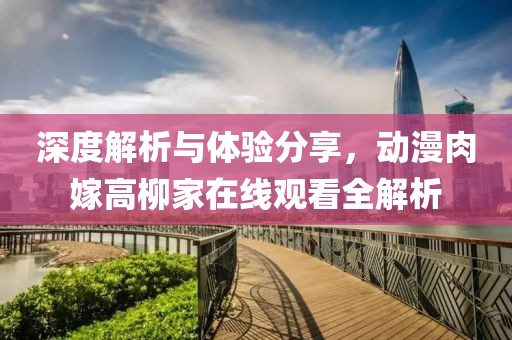 深度解析与体验分享，动漫肉嫁高柳家在线观看全解析