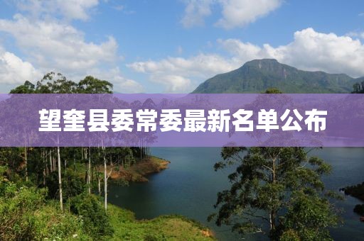望奎县委常委最新名单公布