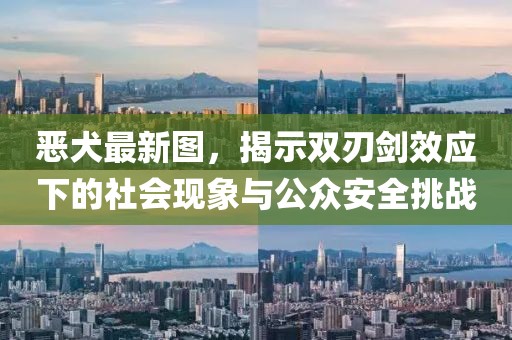 恶犬最新图，揭示双刃剑效应下的社会现象与公众安全挑战