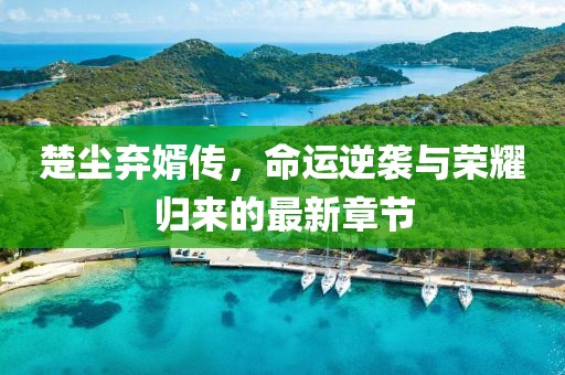 楚尘弃婿传，命运逆袭与荣耀归来的最新章节