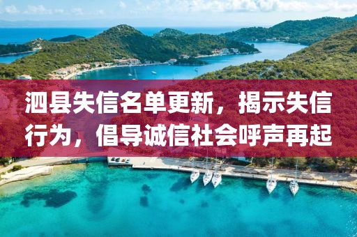 泗县失信名单更新，揭示失信行为，倡导诚信社会呼声再起