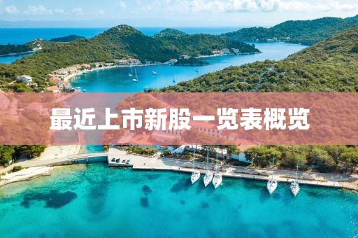 最近上市新股一览表概览