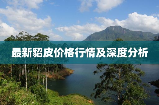 最新貂皮价格行情及深度分析