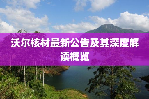沃尔核材最新公告及其深度解读概览