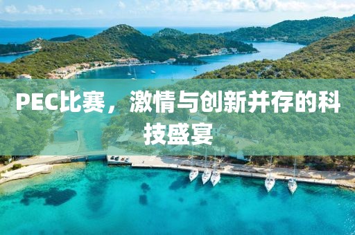 PEC比赛，激情与创新并存的科技盛宴