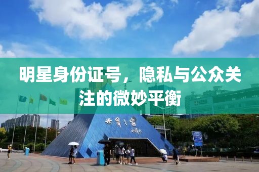 明星身份证号，隐私与公众关注的微妙平衡