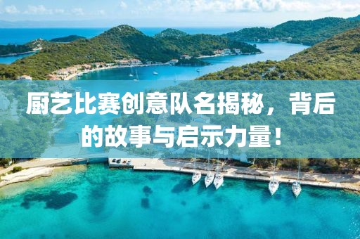 厨艺比赛创意队名揭秘，背后的故事与启示力量！