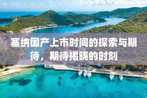 塞纳国产上市时间的探索与期待，期待揭晓的时刻