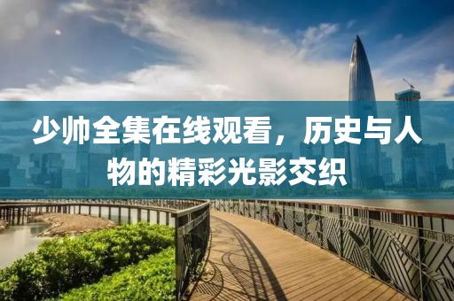 少帅全集在线观看，历史与人物的精彩光影交织