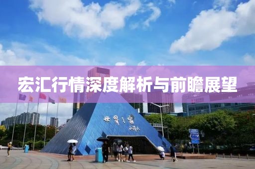 宏汇行情深度解析与前瞻展望