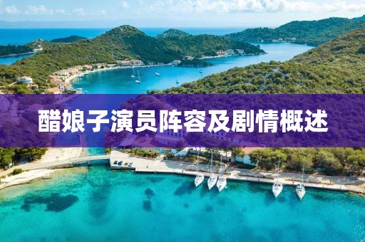 醋娘子演员阵容及剧情概述