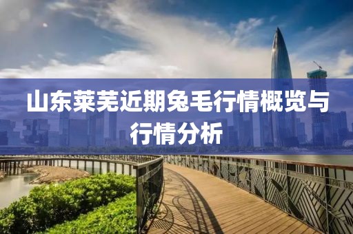 山东莱芜近期兔毛行情概览与行情分析