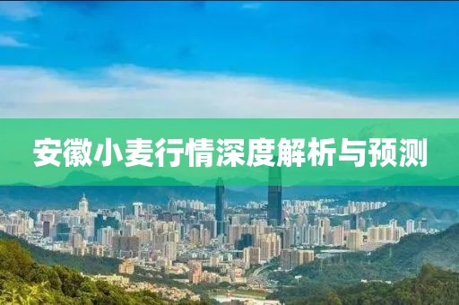 安徽小麦行情深度解析与预测