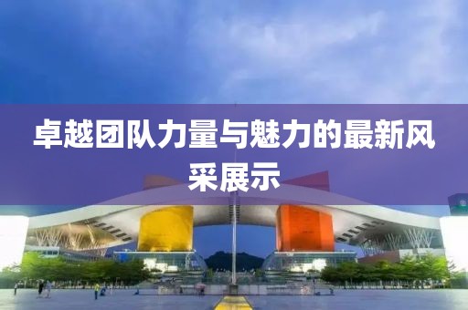 卓越团队力量与魅力的最新风采展示