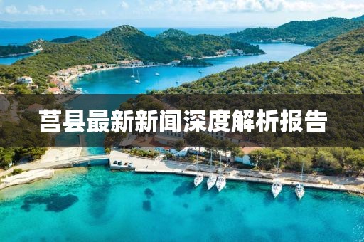 莒县最新新闻深度解析报告