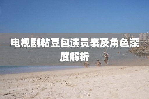 电视剧粘豆包演员表及角色深度解析