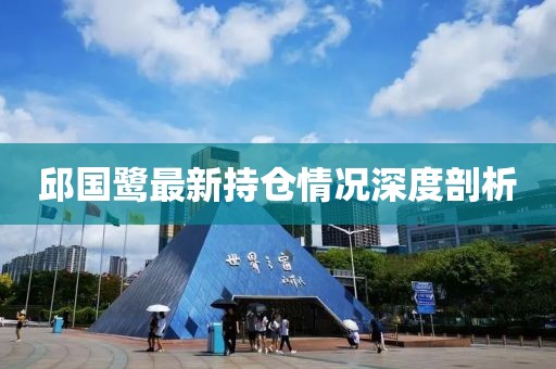 邱国鹭最新持仓情况深度剖析