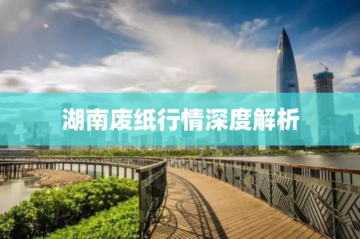 湖南废纸行情深度解析