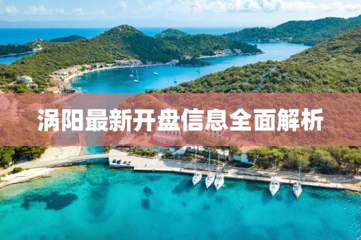 涡阳最新开盘信息全面解析