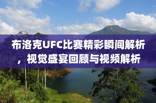布洛克UFC比赛精彩瞬间解析，视觉盛宴回顾与视频解析