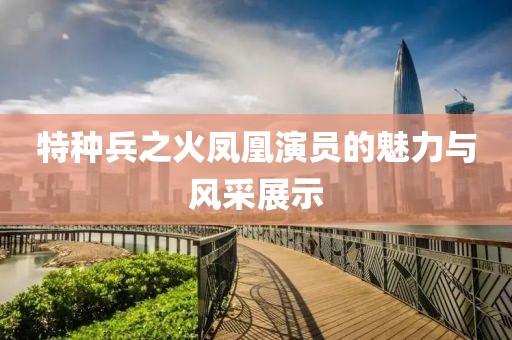 特种兵之火凤凰演员的魅力与风采展示
