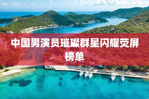 中国男演员璀璨群星闪耀荧屏榜单