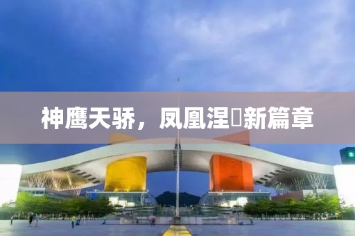 神鹰天骄，凤凰涅槃新篇章