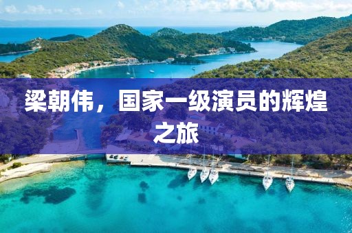 梁朝伟，国家一级演员的辉煌之旅