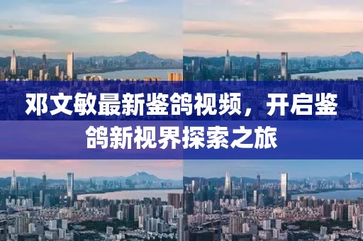 邓文敏最新鉴鸽视频，开启鉴鸽新视界探索之旅
