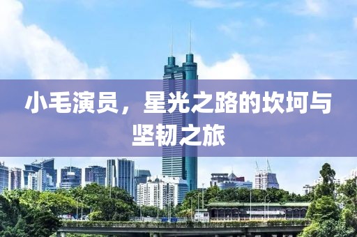 小毛演员，星光之路的坎坷与坚韧之旅