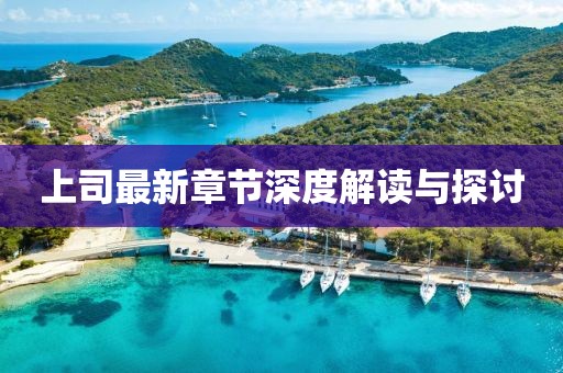 上司最新章节深度解读与探讨