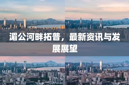 湄公河畔拓普，最新资讯与发展展望