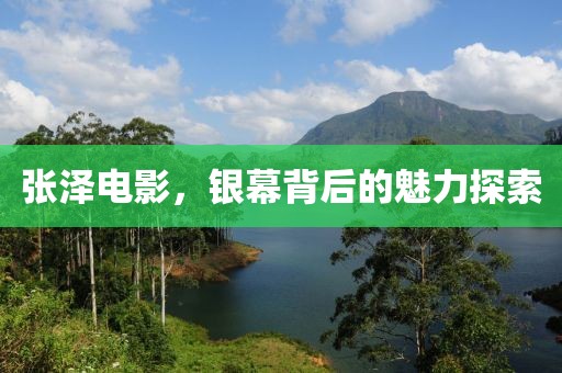 张泽电影，银幕背后的魅力探索