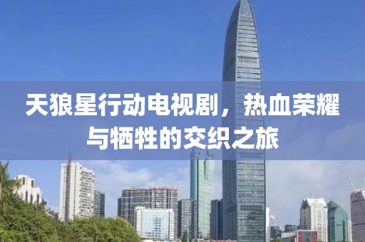 天狼星行动电视剧，热血荣耀与牺牲的交织之旅